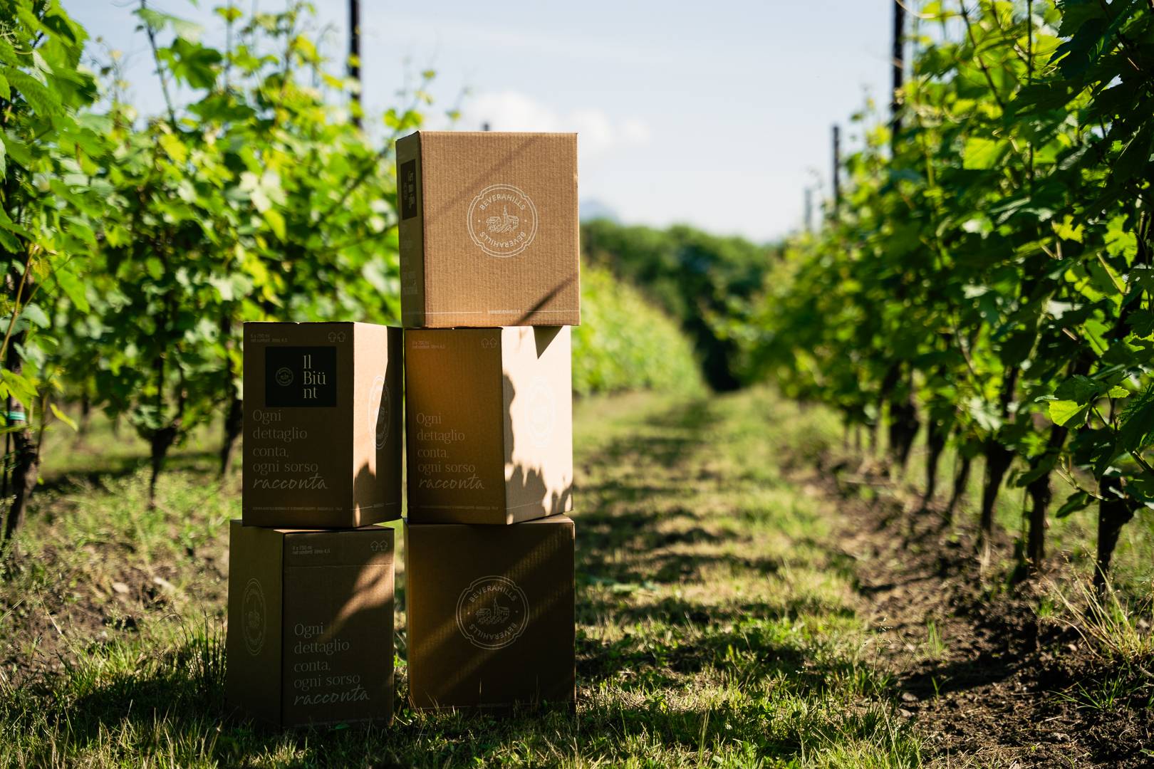 Immagine generica vini Beverahills 2